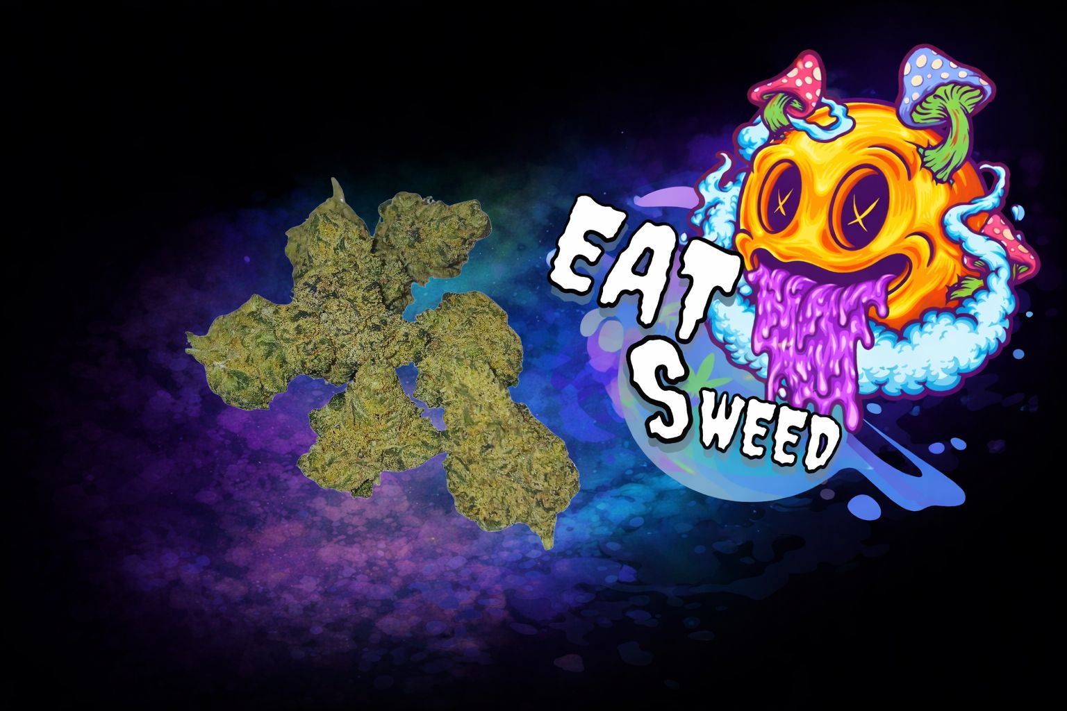 Coochie Runtz
